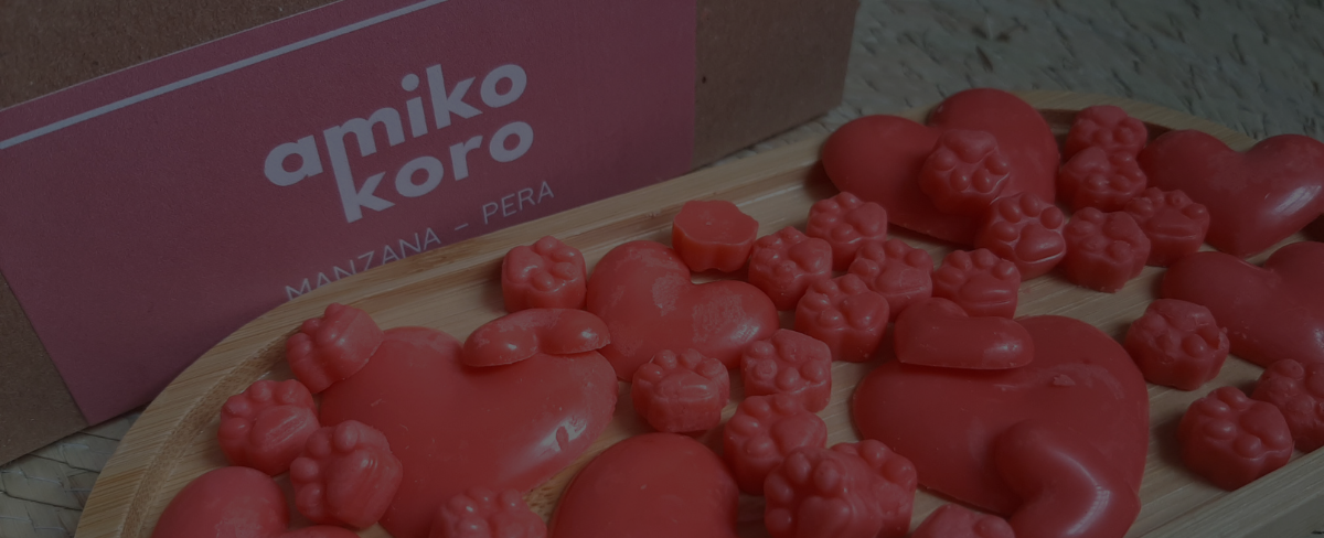 Inicio Banner Sitio Amikokoro 1