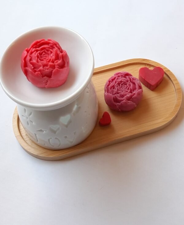 kit de cera aromáticas amor y amistad ❤️