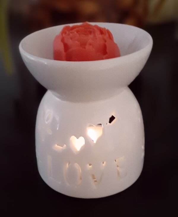 kit de cera aromáticas amor y amistad ❤️