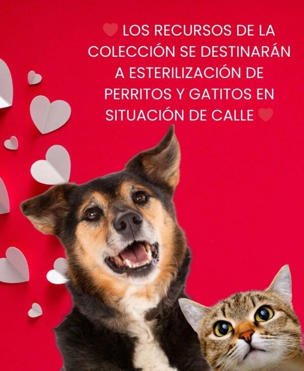 kit de cera aromáticas amor y amistad ❤️