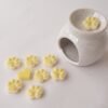 wax melts vainilla coco