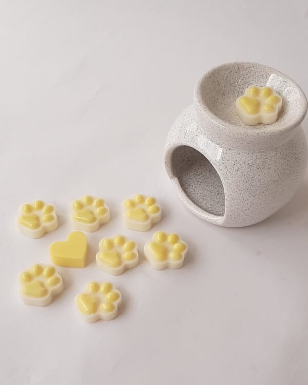 wax melts vainilla coco