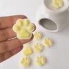 wax melts vainilla coco