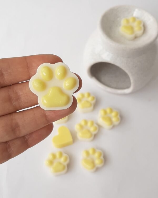 wax melts vainilla coco