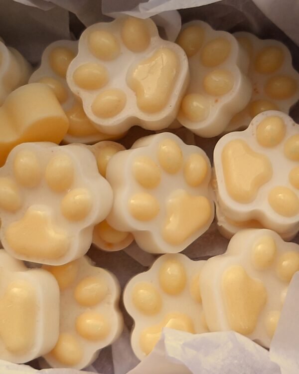 wax melts vainilla coco