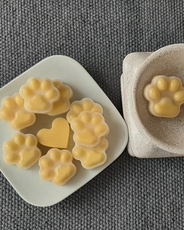 wax melts vainilla coco