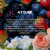 attune Cera aromática Attune