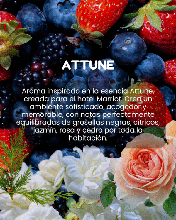 attune Cera aromática Attune