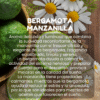 Cera aromática Bergamota & Manzanilla