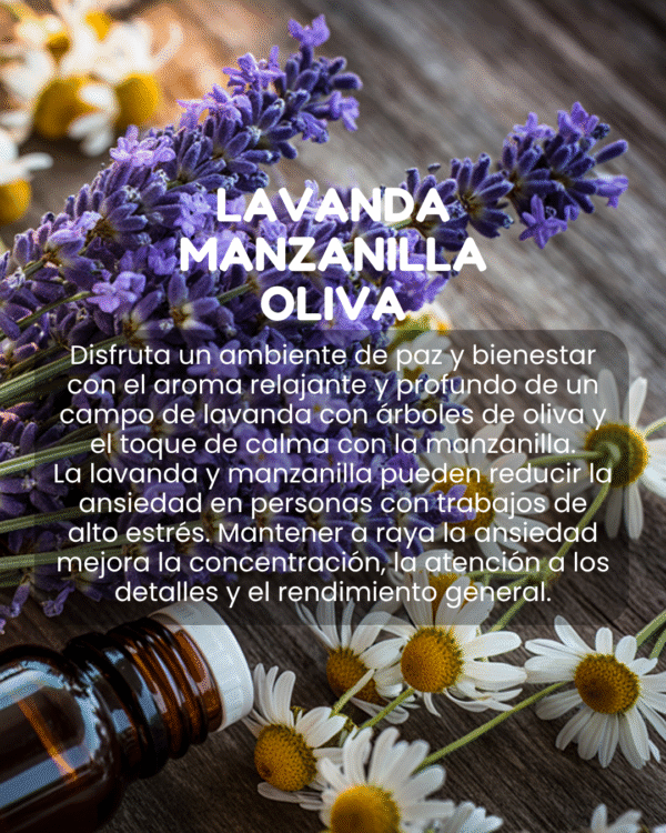 Cera aromática de Lavanda, Oliva & Manzanilla