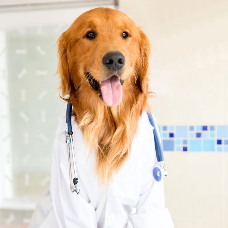 diseño sin título(19)