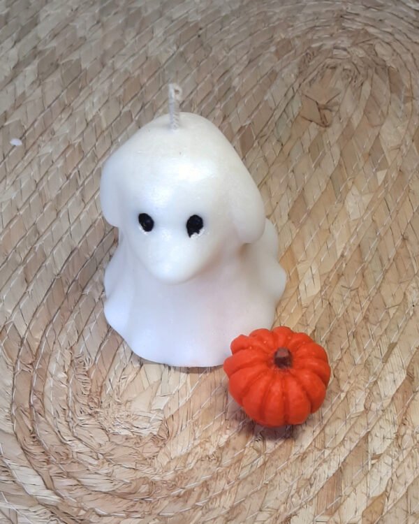 Vela de fantasma de perro o gato iridiscentes con calabacita