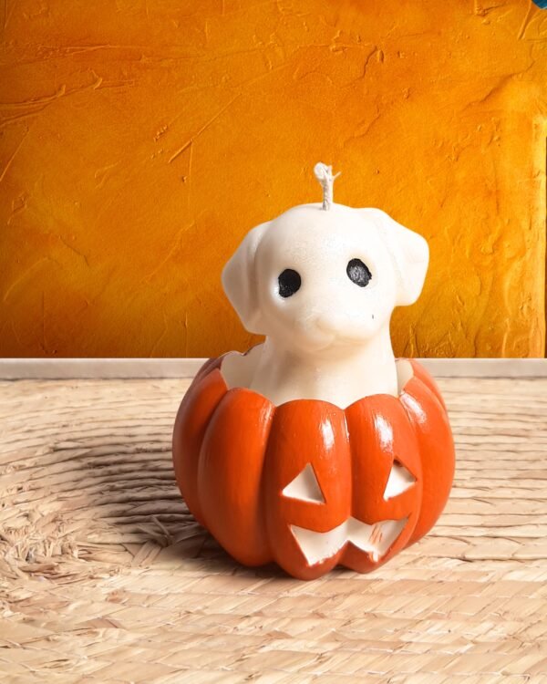 Vela de fantasma de gato o perro con calabaza para Día de Muertos - Otoño