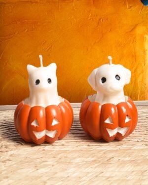 fastasmitas de perro y gato con calabaza