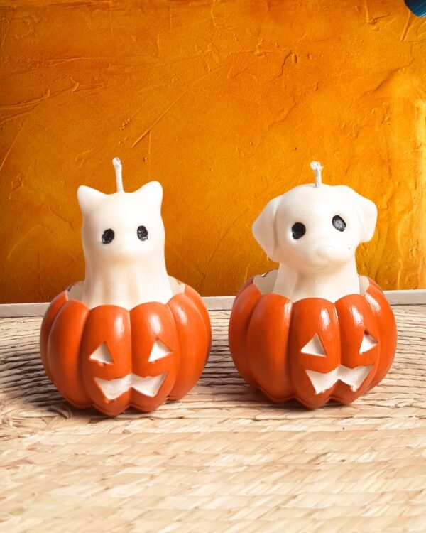 fastasmitas de perro y gato con calabaza